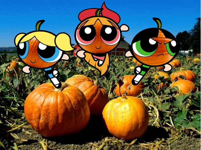 Illustration for article titled Kotaku' Shop Contest: Pumpkin Spice Armageddon: Winners!